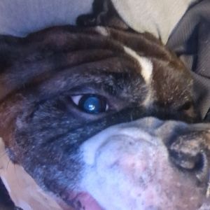 Meet your Posher, Mckenzie